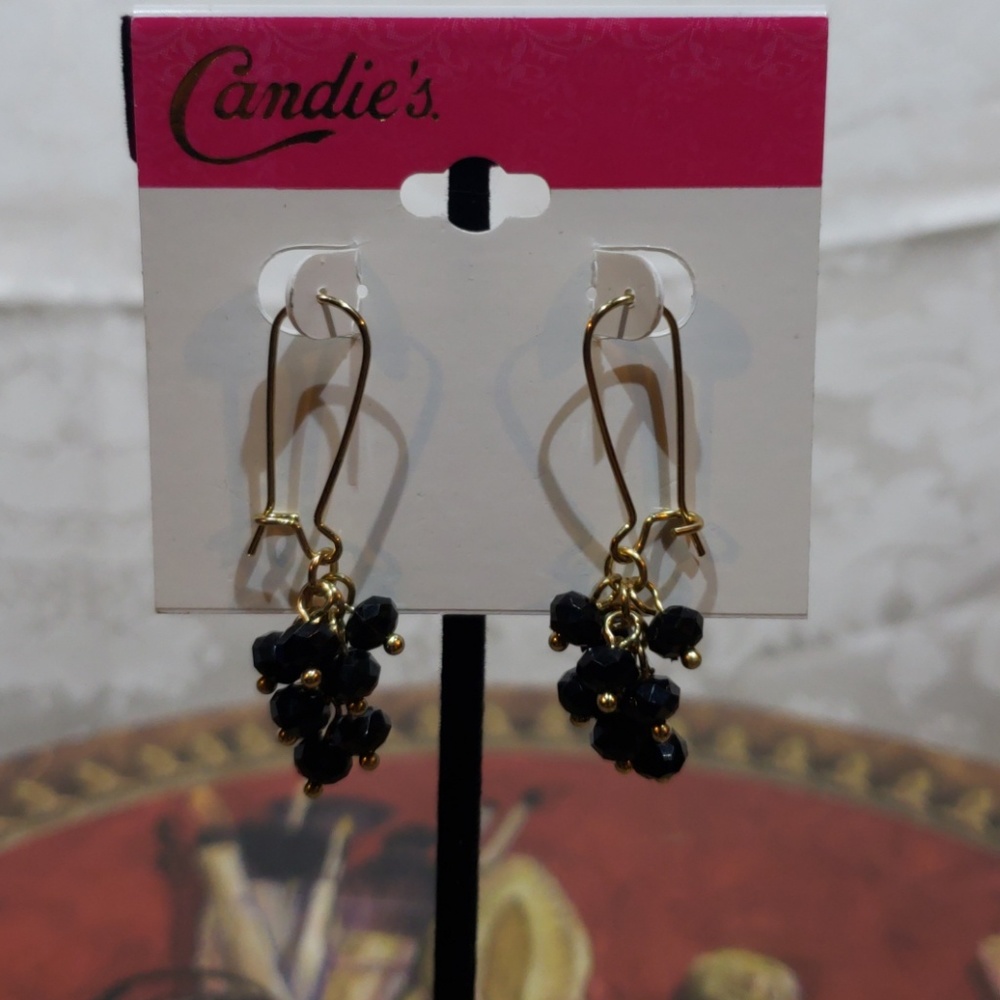 Wire Clasp Hoops Beaded Earrings